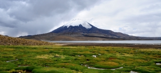 Lago Chungara. Parque Nacional Lauca