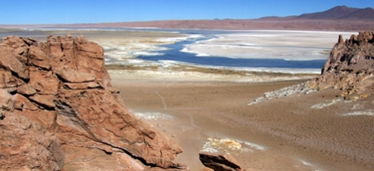 Salar de Tara