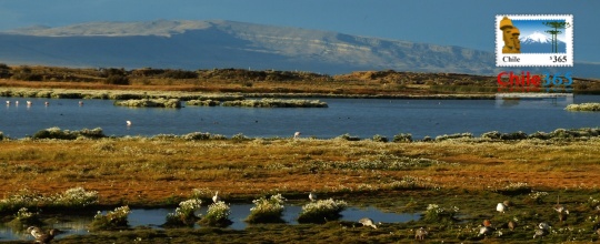Laguna Nimez, El Calafate