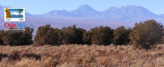 San Pedro de Atacama, Chile