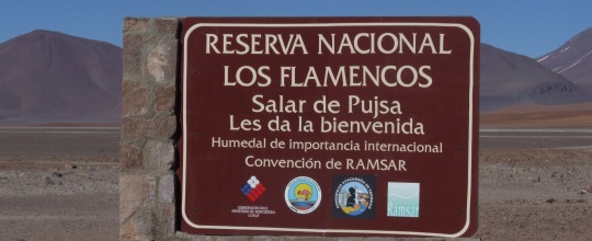 Reserva Nacional Los Flamencos