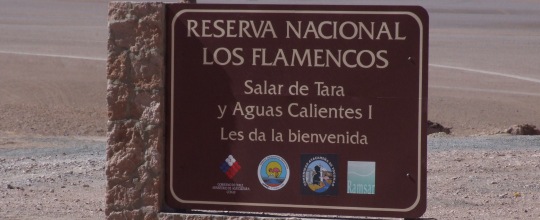 Reserva Nacional Los Flamencos