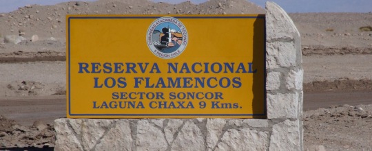 Reserva Nacional Los Flamencos