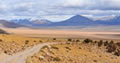 Parque Nacional Volc�n Isluga