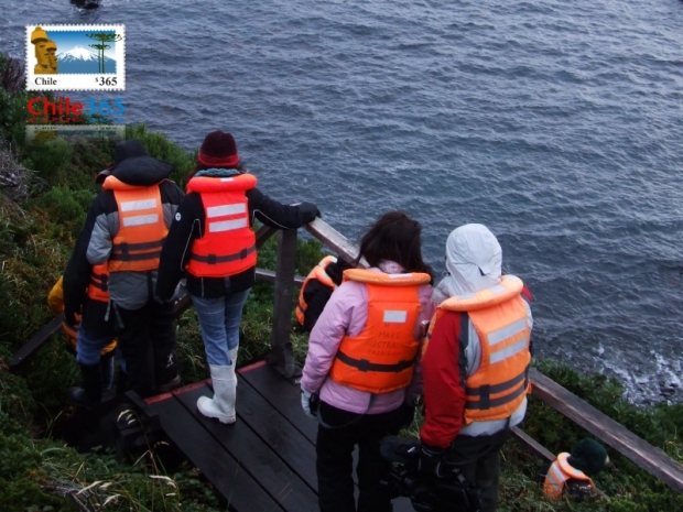 Fotos Parque Nacional Cabo de Hornos