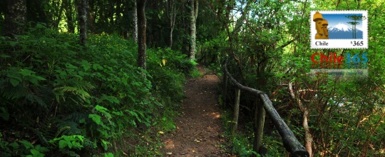 Río Ibáñez