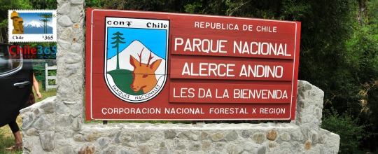 Parque Nacional Alerce Andino, Chile