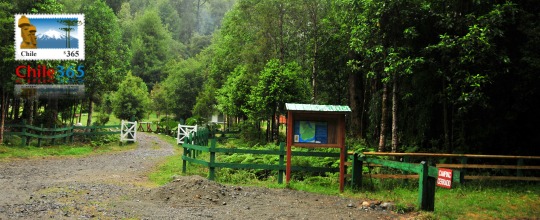Parque Nacional Alerce Andino, Chile