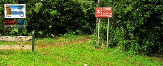 Parque Nacional Alerce Andino, Chile