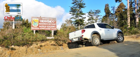 Parque Nacional Alerce Costero, Chile
