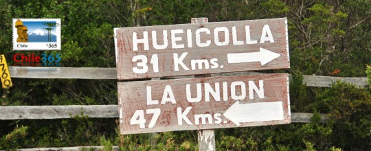 Parque Nacional Alerce Costero, Chile