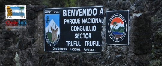 Parque Naciona  Conguillo. Chile
