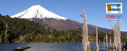 Parque Naciona  Conguillo. Chile
