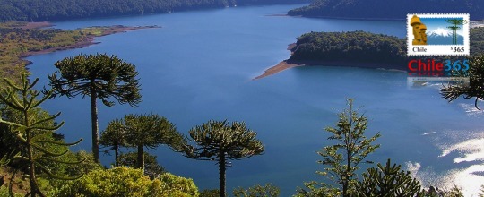 Parque Naciona  Conguillo. Chile