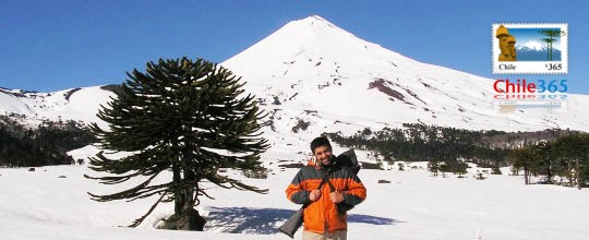 Parque Naciona  Conguillo. Chile