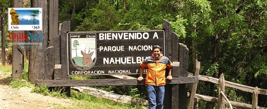 Parque Naciona  Nahuelbuta. Chile