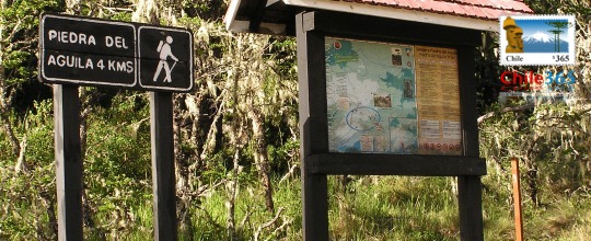 Parque Naciona  Nahuelbuta. Chile
