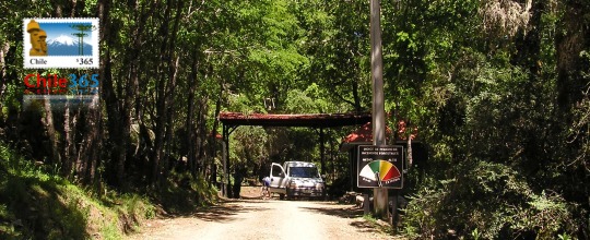 Parque Naciona  Nahuelbuta. Chile