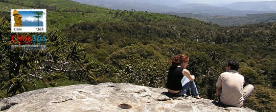 Parque Naciona  Nahuelbuta. Chile