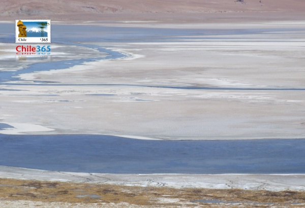 fotos del Salar de Tara. Fotografias del Salar de Tara, Reserva Nacional Los Flamencos.