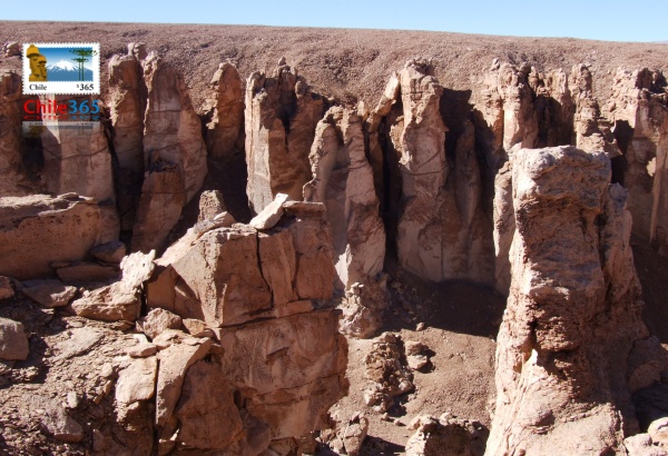 fotos del Salar de Tara. Fotografias del Salar de Tara, Reserva Nacional Los Flamencos.